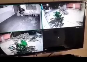 Vídeo: Espirito quebra árvore em Senador Canedo