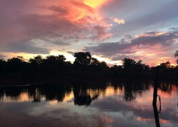 Dia Mundial da Água: Cerrado pode perder quase 34% da água até 2050